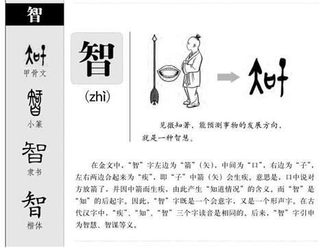 代表智慧的字|智（汉语汉字）